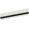 PEC24SGAN